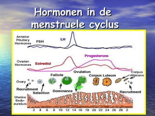 Hormonen in deHormonen in de
menstruele cyclusmenstruele cyclus
 
