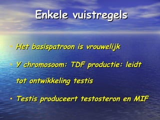 Enkele vuistregelsEnkele vuistregels
• Het basispatroon is vrouwelijkHet basispatroon is vrouwelijk
• Y chromosoom: TDF productie: leidtY chromosoom: TDF productie: leidt
tot ontwikkeling testistot ontwikkeling testis
• Testis produceert testosteron en MIFTestis produceert testosteron en MIF
 