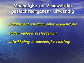 Mannelijke en VrouwelijkeMannelijke en Vrouwelijke
geslachtsorganen: uitwendiggeslachtsorganen: uitwendig
• Indifferent stadium sinus urogenitalisIndifferent stadium sinus urogenitalis
• Onder invloed testosteron:Onder invloed testosteron:
ontwikkeling in mannelijke richtingontwikkeling in mannelijke richting
 