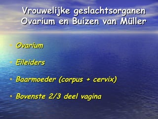 Vrouwelijke geslachtsorganenVrouwelijke geslachtsorganen
Ovarium en Buizen van MüllerOvarium en Buizen van Müller
• OvariumOvarium
• EileidersEileiders
• Baarmoeder (corpus + cervix)Baarmoeder (corpus + cervix)
• Bovenste 2/3 deel vaginaBovenste 2/3 deel vagina
 