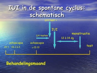 IUI in de spontane cyclus:IUI in de spontane cyclus:
schematischschematisch
CD 1 ± CD 10
echoscopie
IUI
menstruatie
12 à 14 dg
testCD 2 à 3
echoscopie
LH-testen
LH-test +
Behandelingsmaand
 