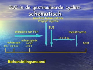 IUI in de gestimuleerde cyclus:IUI in de gestimuleerde cyclus:
schematischschematisch
CD 1 ± CD 8
echoscopieën
vanaf
IUI
menstruatie
12 à 14 dg
test
CD 2 à 3
echoscopie
stimulatie met FSH
Behandelingsmaand
Grootste follikel ±18 mm:
Pregnyl®®
injectie
 