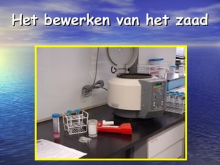 Het bewerken van het zaadHet bewerken van het zaad
 