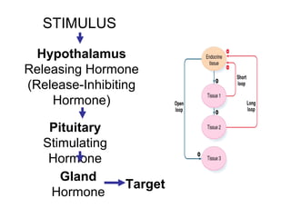 STIMULUS
Hypothalamus
Releasing Hormone
(Release-Inhibiting
Hormone)
Pituitary
Stimulating
Hormone
Gland
Hormone
Target
 