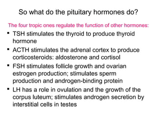 So what do the pituitary hormones do?
 TSH stimulates the thyroid to produce thyroid
hormone
 ACTH stimulates the adrenal cortex to produce
corticosteroids: aldosterone and cortisol
 FSH stimulates follicle growth and ovarian
estrogen production; stimulates sperm
production and androgen-binding protein
 LH has a role in ovulation and the growth of the
corpus luteum; stimulates androgen secretion by
interstitial cells in testes
The four tropic ones regulate the function of other hormones:
 