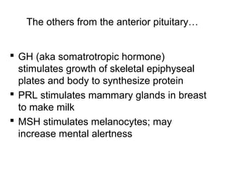The others from the anterior pituitary…
 GH (aka somatrotropic hormone)
stimulates growth of skeletal epiphyseal
plates and body to synthesize protein
 PRL stimulates mammary glands in breast
to make milk
 MSH stimulates melanocytes; may
increase mental alertness
 