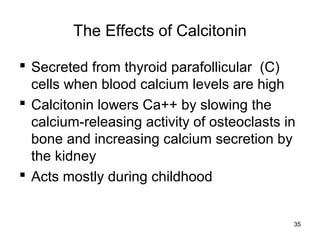 35
The Effects of Calcitonin
 Secreted from thyroid parafollicular (C)
cells when blood calcium levels are high
 Calcitonin lowers Ca++ by slowing the
calcium-releasing activity of osteoclasts in
bone and increasing calcium secretion by
the kidney
 Acts mostly during childhood
 