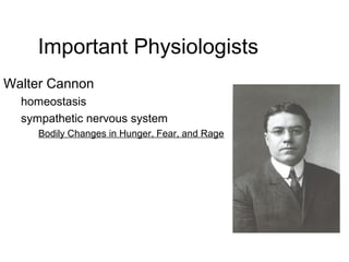 Important Physiologists
Walter Cannon
homeostasis
sympathetic nervous system
Bodily Changes in Hunger, Fear, and Rage
 