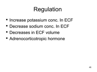 Regulation
 Increase potassium conc. In ECF
 Decrease sodium conc. In ECF
 Decreases in ECF volume
 Adrenocorticotropic hormone
48
 