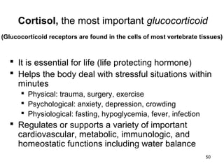 50
Cortisol, the most important glucocorticoid
(Glucocorticoid receptors are found in the cells of most vertebrate tissues)
 It is essential for life (life protecting hormone)
 Helps the body deal with stressful situations within
minutes
 Physical: trauma, surgery, exercise
 Psychological: anxiety, depression, crowding
 Physiological: fasting, hypoglycemia, fever, infection
 Regulates or supports a variety of important
cardiovascular, metabolic, immunologic, and
homeostatic functions including water balance
 
