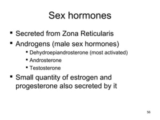 Sex hormones
 Secreted from Zona Reticularis
 Androgens (male sex hormones)
 Dehydroepiandrosterone (most activated)
 Androsterone
 Testosterone
 Small quantity of estrogen and
progesterone also secreted by it
56
 