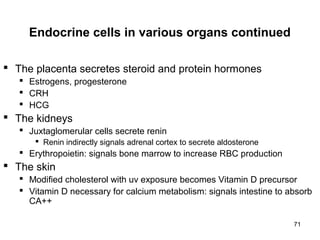 71
Endocrine cells in various organs continued
 The placenta secretes steroid and protein hormones
 Estrogens, progesterone
 CRH
 HCG
 The kidneys
 Juxtaglomerular cells secrete renin
 Renin indirectly signals adrenal cortex to secrete aldosterone
 Erythropoietin: signals bone marrow to increase RBC production
 The skin
 Modified cholesterol with uv exposure becomes Vitamin D precursor
 Vitamin D necessary for calcium metabolism: signals intestine to absorb
CA++
 