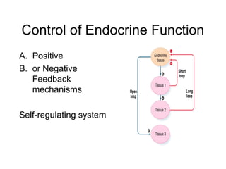 Control of Endocrine Function
A. Positive
B. or Negative
Feedback
mechanisms
Self-regulating system
 