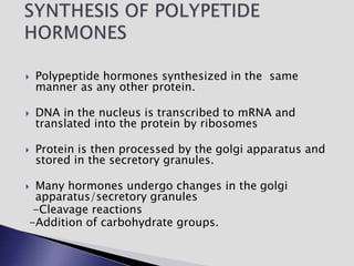  Polypeptide hormones synthesized in the same
manner as any other protein.
 DNA in the nucleus is transcribed to mRNA and
translated into the protein by ribosomes
 Protein is then processed by the golgi apparatus and
stored in the secretory granules.
 Many hormones undergo changes in the golgi
apparatus/secretory granules
-Cleavage reactions
-Addition of carbohydrate groups.
 