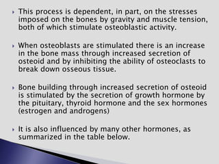  This process is dependent, in part, on the stresses
imposed on the bones by gravity and muscle tension,
both of which stimulate osteoblastic activity.
 When osteoblasts are stimulated there is an increase
in the bone mass through increased secretion of
osteoid and by inhibiting the ability of osteoclasts to
break down osseous tissue.
 Bone building through increased secretion of osteoid
is stimulated by the secretion of growth hormone by
the pituitary, thyroid hormone and the sex hormones
(estrogen and androgens)
 It is also influenced by many other hormones, as
summarized in the table below.
 