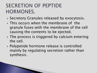  Secretory Granules released by exocytosis.
 This occurs when the membrane of the
granule fuses with the membrane of the cell
causing the contents to be ejected.
 The process is triggered by calcium entering
the cell.
 Polypetide hormone release is controlled
mainly by regulating secretion rather than
synthesis.
 