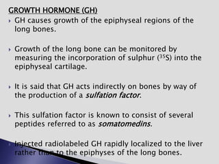 GROWTH HORMONE (GH)
 GH causes growth of the epiphyseal regions of the
long bones.
 Growth of the long bone can be monitored by
measuring the incorporation of sulphur (35S) into the
epiphyseal cartilage.
 It is said that GH acts indirectly on bones by way of
the production of a sulfation factor.
 This sulfation factor is known to consist of several
peptides referred to as somatomedins.
 Injected radiolabeled GH rapidly localized to the liver
rather than to the epiphyses of the long bones.
 