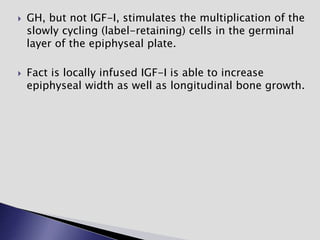  GH, but not IGF-I, stimulates the multiplication of the
slowly cycling (label-retaining) cells in the germinal
layer of the epiphyseal plate.
 Fact is locally infused IGF-I is able to increase
epiphyseal width as well as longitudinal bone growth.
 