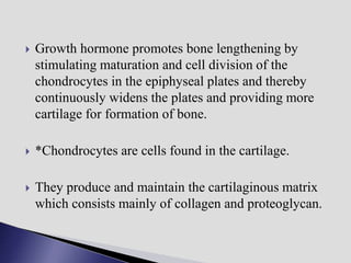  Growth hormone promotes bone lengthening by
stimulating maturation and cell division of the
chondrocytes in the epiphyseal plates and thereby
continuously widens the plates and providing more
cartilage for formation of bone.
 *Chondrocytes are cells found in the cartilage.
 They produce and maintain the cartilaginous matrix
which consists mainly of collagen and proteoglycan.
 