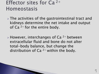  The activities of the gastrointestinal tract and
kidneys determine the net intake and output
of Ca 2+ for the entire body.
 However, interchanges of Ca 2+ between
extracellular fluid and bone do not alter
total-body balance, but change the
distribution of Ca 2+ within the body.
20
3
 