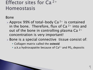 Bone
 Approx 99% of total-body Ca 2+ is contained
in the bone. Therefore, flux of Ca 2+ into and
out of the bone in controlling plasma Ca 2+
concentration is very important!
 Bone is a special connective tissue consist of:
 Collagen matrix called the osteoid
 a.k.a hydroxapatite because of Ca2+ and P04 deposits
20
4
 