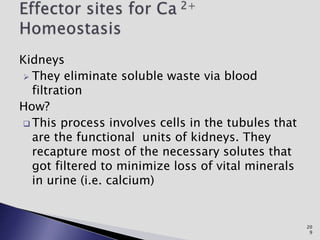 Kidneys
 They eliminate soluble waste via blood
filtration
How?
 This process involves cells in the tubules that
are the functional units of kidneys. They
recapture most of the necessary solutes that
got filtered to minimize loss of vital minerals
in urine (i.e. calcium)
20
9
 