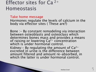 Take home message
Hormones regulate the levels of calcium in the
body via effector sites ( These are?)
Bone :- By constant remodeling via interaction
between osteoblasts and osteoclass which
determines bones mass and provides a means
of raising or lowering Ca2+ concentration
which is under hormonal control.
Kidney:- By regulating the amount of Ca2+
excreted in urine is the difference between
amount filtered and amount re-absorbed, in
which the latter is under hormonal control.
Andrew Grant
21
2
 