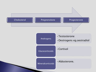 Cholesterol Pregnenolone Progesterone
•Testosterone
•Oestrogens eg.oestradiol
Androgens
•Cortisol
Glucocorticoids
•Aldosterone.
Mineralcorticoids
 