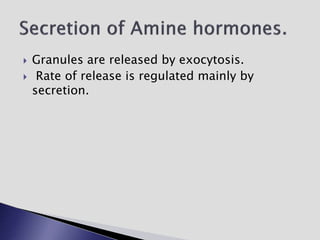  Granules are released by exocytosis.
 Rate of release is regulated mainly by
secretion.
 