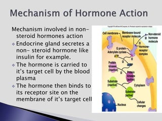 Mechanism involved in non-
steroid hormones action
 Endocrine gland secretes a
non- steroid hormone like
insulin for example.
 The hormone is carried to
it’s target cell by the blood
plasma
 The hormone then binds to
its receptor site on the
membrane of it’s target cell
 