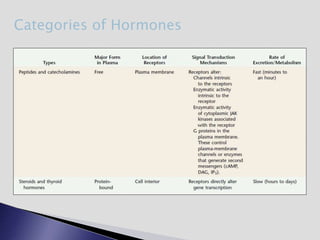 Categories of Hormones
 