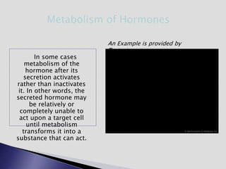 In some cases
metabolism of the
hormone after its
secretion activates
rather than inactivates
it. In other words, the
secreted hormone may
be relatively or
completely unable to
act upon a target cell
until metabolism
transforms it into a
substance that can act.
An Example is provided by
Testosterone:
Metabolism of Hormones
 
