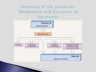 Summary of the processes
Metabolism and Excretion of
Hormones
 