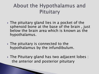  The pituitary gland lies in a pocket of the
sphenoid bone at the base of the brain , just
below the brain area which is known as the
hypothalamus.
 The pituitary is connected to the
hypothalamus by the infundibulum.
 The Pituitary gland has two adjacent lobes :
the anterior and posterior pituitary
 