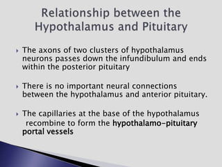  The axons of two clusters of hypothalamus
neurons passes down the infundibulum and ends
within the posterior pituitary
 There is no important neural connections
between the hypothalamus and anterior pituitary.
 The capillaries at the base of the hypothalamus
recombine to form the hypothalamo-pituitary
portal vessels
 