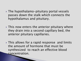  The hypothalamo-pituitary portal vessels
passes down the stalk which connects the
hypothalamus and pituitary.
 This now enters the anterior pituitary where
they drain into a second capillary bed, the
anterior pituitary capillaries.
 This allows for a rapid response and limits
the amount of hormone that must be
synthesized to reach an effective blood
concentration.
 