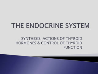 SYNTHESIS, ACTIONS OF THYROID
HORMONES & CONTROL OF THYROID
FUNCTION
 