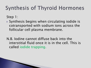 Step 1:
 Synthesis begins when circulating iodide is
cotransported with sodium ions across the
follicular cell plasma membrane.
N.B. Iodine cannot diffuse back into the
interstitial fluid once it is in the cell. This is
called iodide trapping.
 