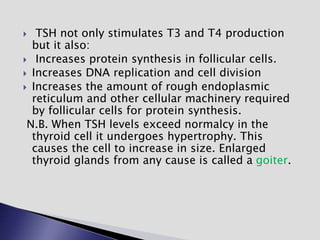  TSH not only stimulates T3 and T4 production
but it also:
 Increases protein synthesis in follicular cells.
 Increases DNA replication and cell division
 Increases the amount of rough endoplasmic
reticulum and other cellular machinery required
by follicular cells for protein synthesis.
N.B. When TSH levels exceed normalcy in the
thyroid cell it undergoes hypertrophy. This
causes the cell to increase in size. Enlarged
thyroid glands from any cause is called a goiter.
 