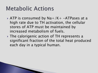  ATP is consumed by Na+/K+ -ATPases at a
high rate due to TH activation, the cellular
stores of ATP must be maintained by
increased metabolism of fuels.
 The calorigenic action of TH represents a
significant fraction of the total heat produced
each day in a typical human.
 