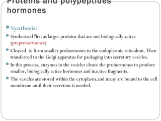 Proteins and polypeptides
hormones
Synthesis:
Synthesized rst as larger proteins that are not biologically activeﬁ
(preprohormones)
Cleaved to form smaller prohormones in the endoplasmic reticulum. Then
transferred to the Golgi apparatus for packaging into secretory vesicles.
In this process, enzymes in the vesicles cleave the prohormones to produce
smaller, biologically active hormones and inactive fragments.
The vesicles are stored within the cytoplasm,and many are bound to the cell
membrane until their secretion is needed.
 