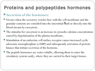 Proteins and polypeptides hormones
Secretion of the hormones:
Occurs when the secretory vesicles fuse with the cell membrane and the
granular contents are extruded into the interstitial uid or directly into theﬂ
blood stream by exocytosis.
The stimulus for exocytosis is an increase in cytosolic calcium concentration
caused by depolarization of the plasma membrane.
Stimulation of an endocrine cell surface receptor causes increased cyclic
adenosine monophosphate (cAMP) and subsequently activation of protein
kinases that initiate secretion of the hormone.
The peptide hormones are water soluble, allowing them to enter the
circulatory system easily, where they are carried to their target tissues.
 