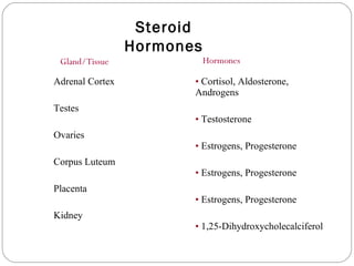 Adrenal Cortex
Testes
Ovaries
Corpus Luteum
Placenta
Kidney
• Cortisol, Aldosterone,
Androgens
• Testosterone
• Estrogens, Progesterone
• Estrogens, Progesterone
• Estrogens, Progesterone
• 1,25-Dihydroxycholecalciferol
Gland/Tissue Hormones
Steroid
Hormones
 