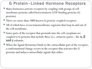 G Protein–Linked Hormone Receptors
Many hormones activate receptors by coupling with groups of cell
membrane proteins called heterotrimeric GTP-binding proteins (G
proteins)
There are more than 1000 known G protein–coupled receptors
All of which have seven transmembrane segments that loop in and out of
the cell membrane.
Some parts of the receptor that protrude into the cell cytoplasm are
coupled to G proteins that include three (i.e.,trimeric) parts—the α, β
and γ subunits.
When the ligand (hormone) binds to the extracellular part of the receptor,
a conformational change occurs in the receptor that activates the G
proteins and induces intracellular signals that either:
 