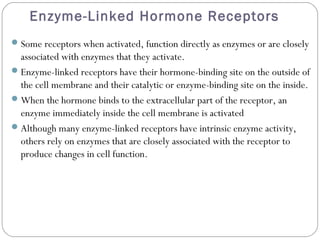 Enzyme-Linked Hormone Receptors
Some receptors when activated, function directly as enzymes or are closely
associated with enzymes that they activate.
Enzyme-linked receptors have their hormone-binding site on the outside of
the cell membrane and their catalytic or enzyme-binding site on the inside.
When the hormone binds to the extracellular part of the receptor, an
enzyme immediately inside the cell membrane is activated
Although many enzyme-linked receptors have intrinsic enzyme activity,
others rely on enzymes that are closely associated with the receptor to
produce changes in cell function.
 