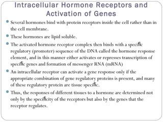 Intracellular Hormone Receptors and
Activation of Genes
Several hormones bind with protein receptors inside the cell rather than in
the cell membrane.
These hormones are lipid soluble.
The activated hormone receptor complex then binds with a speci cﬁ
regulatory (promoter) sequence of the DNA called the hormone response
element, and in this manner either activates or represses transcription of
speci c genes and formation of messenger RNA (mRNA)ﬁ
An intracellular receptor can activate a gene response only if the
appropriate combination of gene regulatory proteins is present, and many
of these regulatory protein are tissue speci c.ﬁ
Thus, the responses of different tissues to a hormone are determined not
only by the speci city of the receptors but also by the genes that theﬁ
receptor regulates.
 