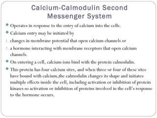 Calcium-Calmodulin Second
Messenger System
Operates in response to the entry of calcium into the cells.
Calcium entry may be initiated by
1. changes in membrane potential that open calcium channels or
2. a hormone interacting with membrane receptors that open calcium
channels.
On entering a cell, calcium ions bind with the protein calmodulin.
This protein has four calcium sites, and when three or four of these sites
have bound with calcium,the calmodulin changes its shape and initiates
multiple effects inside the cell, including activation or inhibition of protein
kinases so activation or inhibition of proteins involved in the cell’s response
to the hormone occurs.
 