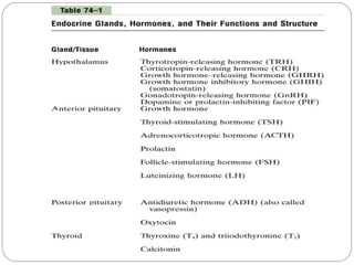 Endocrinology (Chemical Coordination)