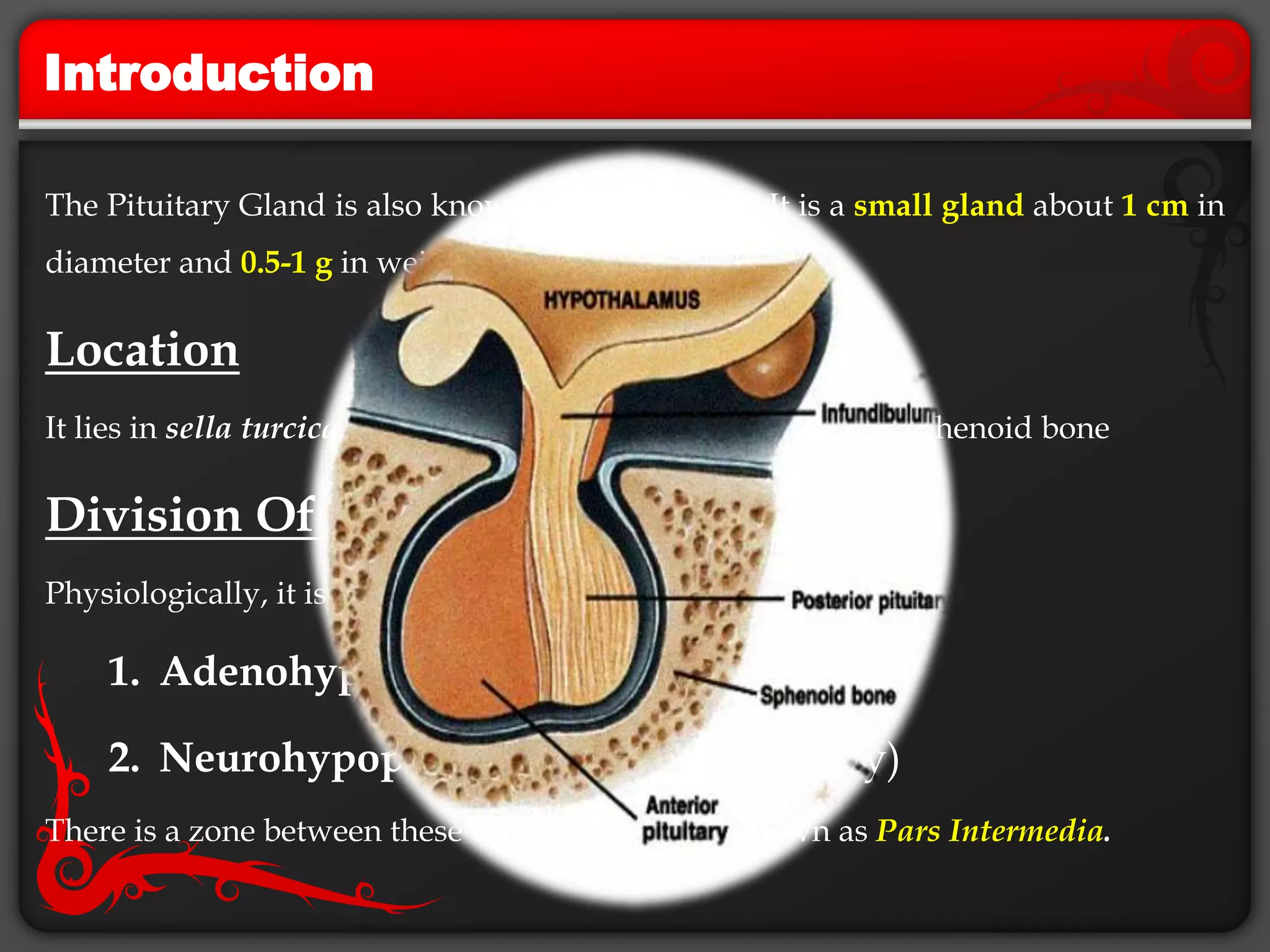 Introduction
The Pituitary Gland is also known as Hypophysis. It is a small gland about 1 cm in
diameter and 0.5-1 g in weight.
Location
It lies in sella turcica (bony cavity at the base of the brain) of sphenoid bone
Division Of Hypophysis
Physiologically, it is divided into two lobes:
1. Adenohypophysis (anterior pituitary)
2. Neurohypophysis (posterior pituitary)
There is a zone between these divisions which is known as Pars Intermedia.
 
