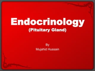 Endocrinology
(Pituitary Gland)
By
Mujahid Hussain
 